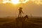 A Young Mexican Charro Cowboy Rounds Up A Herd of Horses Running Through The Field On A Mexican Ranch At Sunrise