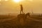 A Young Mexican Charro Cowboy Rounds Up A Herd of Horses Running Through The Field On A Mexican Ranch At Sunrise