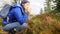 Young mixed race hiker girl picking blueberries in autumn forest. 4k