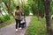 Young mom walks with a stroller