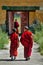 Young Mongolian monks in Amarbayasgalant Monastery