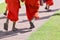 Young monk walk