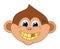 Young monkey with rotten teeth very funny and smiling with blue eyes - vector