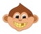 Young monkey with rotten teeth very funny and smiling with brown eyes - vector