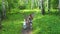 A young mother with a child walking in the Park. Mom holds baby`s hand tightly