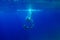 Young mother dives under the water in the ocean with his son. Un