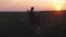 Young mother farmer teaches her daughter to work in a wheat field. Silhouette of a farmers family in a wheat field at