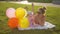 Young mother and infant daughter lie on white blanket laid on grass in park and play with balloons against bright sun shine