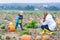 Young mother making picture of her son on pumpkin field.