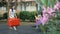 A young mother rolls a baby on a swing in the garden. In the foreground pink flowers