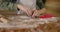 Young mother and son cooking cookies together in the kitchen. Mom and baby boy cut out homemade cookies with shapes form