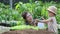 young mother and son Help watering organic vegetables. Teach to take care of growing vegetables.Children learn about nature.