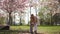 Young mother walking with her baby boy child son in a park under Sakura trees