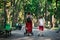 Young mother walks in Park with baby and older son. Mom holds son`s hand. Motherhood concept