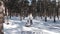 A young mother in a white down jacket runs through the delightfully beautiful snowy winter pine forest and pulls a sled