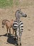 Young and Mother Zebra Standing