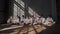 Young multi ethnic teens sitting on the floor barefoot in sunlight and have a rest after martial actions. They