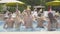 Young multiracial friends dancing in pool in luxurious resort on sunny summer day. Portrait of confident men and women