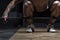 Young muscular man doing barbell workout