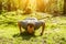 Young muscular man with painful face expression doing hard difficult last push-ups approach