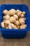 Young mushrooms in a blue plastic tray on a background of coarse homespun fabric. Close up