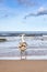 Young mute swan wading on a beach