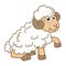 Young Mutton. Cartoon character Ram isolated on white background. Template of cute farm animal. Education card for kids