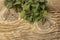 Young nettle leaves on a rustic background