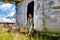 Young nice woman in pin up style clothes stands by an abandoned plane