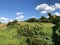 Young orchards and agricultural fields in the Pozega Basin