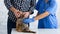 Young owner with cute little dog on visit to veterinarian doc at animal clinic, closeup