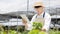 Young owner of a small organic vegetable garden business uses a tablet to control and direct the supply of water and nutrients