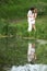 Young pair kisses on bank of pond