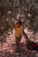 A young Palestinian boy in an olive grove.