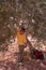 A young Palestinian boy in an olive grove.