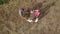 Young parents with children lead a round dance in the meadow. View from above.