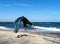 Young parkour man doing flip or somersault