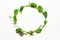 Young peas micro greens wreath on white background. healthy eating concept. fresh garden