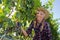 Young peasant woman grape harvest among the vineya
