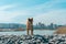 Young pedigree dog resting on the beach. Red shiba inu dog standing near the black sea in Novorossiysk