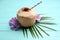 Young peeled coconut with straw, palm leaf and flowers on light blue wooden table