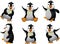 Young penguin set character