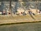 Young people on the banks of the Seine in Paris