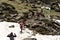 Young People in the Beautiful view hiking in the Andorra Pyrenees Mountains in Ordino, near the Lakes of Tristaina