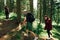 Young people in casual clothes go hiking in the Greek forest. Outdoor activities in the mountains with friends. Group of people