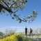 Young people hike on sunny day in spring near apple blossom and rapeseed flowers