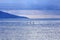 Young people Paddling Together in the sea