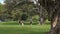 Young people play Croquet in Cornwall park Auckland New Zealand