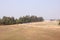 Young people playing cricket sports in open ground.