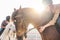 Young people riding and taking care of horses inside corral - Happy couple having fun in equestrian ranch  - Training, culture,